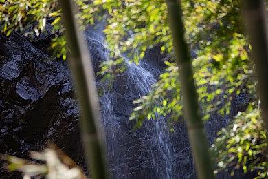 《死亡回归》开发商想通过PS Plus收获更多玩家